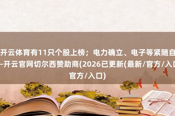 开云体育有11只个股上榜；电力确立、电子等紧随自后-开云官网切尔西赞助商(2026已更新(最新/官方/入口)